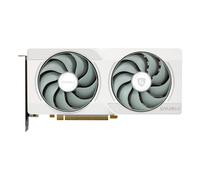 SPARKLE Intel Arc B570 GUARDIAN Luna OC 10GB GDDR6 Graphics Card