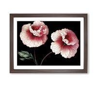 Sparkling Carnation Flowers BLK Framed Print | A2 Walnut Framed Wall Art | Ready to Hang | Modern Floral Picture | Living Room Bedroom Lounge Office