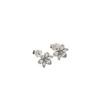 Sparkling Herbarium Cluster Stud Earrings - female - Pandora - Earrings - White - ONE SIZE - Accessories ONE SIZE