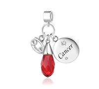 Sparkling Red Birthstones Cancer Zodiac Sign Dangle Charm fit Pandora Charm Moments Bracelets