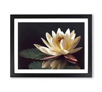 Sparkling Water Lily Flower BLK Framed Print | A2 Black Framed Wall Art | Ready to Hang | Modern Floral Picture | Living Room Bedroom Lounge Office