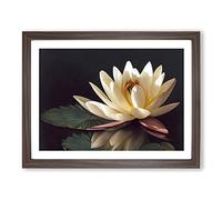 Sparkling Water Lily Flower BLK Framed Print | A3 Walnut Framed Wall Art | Ready to Hang | Modern Floral Picture | Living Room Bedroom Lounge Office