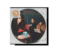 Sparks The Girl Is Crying in Her Latte Picure Disc 12" Vinyl LP New Sealed