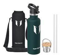 Sparrow Insulated Water Bottle with Straw - Metal Water Bottles 1L