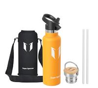 Sparrow Metal Water Bottle with Straw - Insulated Water Bottles - 620ml