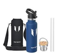 Sparrow Metal Water Bottle with Straw - Insulated Water Bottles - 620ml