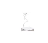 Sparrow Taking Off Table Lamp With Clip White