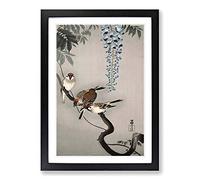 Sparrows at Wisteria by Ohara Koson Framed Print | A2 Black Framed Wall Art | Ready to Hang | Modern Floral Picture | Living Room Bedroom Lounge Office