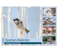 Sparrows calendar UK-Version (Wall Calendar 2026 DIN A3 Landscape), CALVENDO 12 Month Wall Calendar