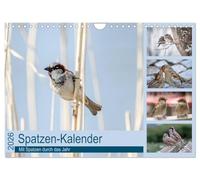 Sparrows calendar UK-Version (Wall Calendar 2026 DIN A4 Landscape), CALVENDO 12 Month Wall Calendar