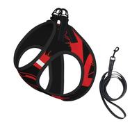 Spartan Warrior Helmet Print Small Dog Harness And Leash Set, Adjustable Soft Vest With 360° Reflective Straps For Cats Puppy