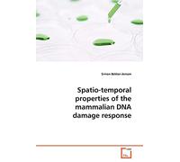 Spatio-temporal properties of the mammalian DNA damage response