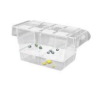 Spawing Basque 'Aquarium-Acrylic Farming Pool for Aquarium, Acclimatization Box' Aquarium for Aggressive Fish | Breast Box Made of Acrylic for Bambi Fish