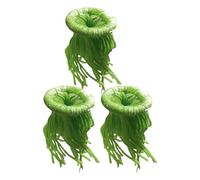 Spawning Mop Aquatic Plant