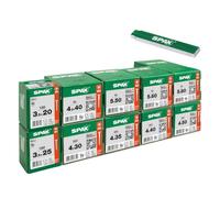 SPAX DIY Set Compact 2,160 Universal Screws & Ruler