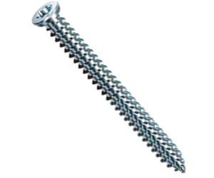 Spax RA Countersunk Torx Frame Anchor Screws
