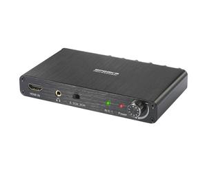 SpeaKa Professional SP-7870312 Audio Adapter DIN 5-pin to Jack 6.3...