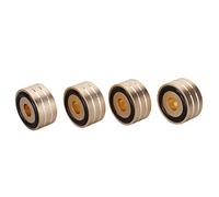 Speaker -Isolation Spike Stand Foot Hard Hards Anti -Slip for DAC -IMPRESTER -LEKOMES 4PCs, for DACS Loudspeakers Amplifier Gymnastics Aluminum Alloy (Black) (Silver) (Gold)