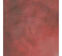 Speaker Music Of Desire, Longing (Vinyl) 12" Album