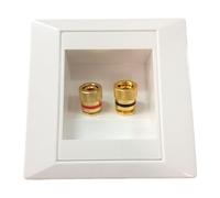 Speaker Wall Plate - Audio Installation Accessory, Two-Port Wall Plate | Premium Gold-Plated Connector, Banana Plug Compatible, Reliable Speaker Interface for Home Sound Systems, Easy Mount Design