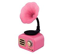 Speakers Retro Bluetooth Speaker, Retro Phonograph Jukebox Vintage Radio Wireless Stereo Retro Speaker, with Bluetooth 4.1 Mini Portable Bluetooth Vintage Speaker Hd Surround Stereo Sound,Pink The New