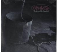 Spearhead - Hole in Bucket / Runfayallfe [VINYL]