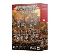 Spearhead Maggotkin of Nurgle | Warhammer Age of Sigamr Starter Force