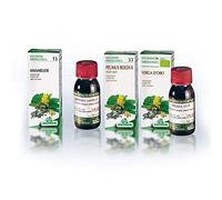 SPECCHIASOL Water-Alcohol Solution 28 Dandelion, 50 ml
