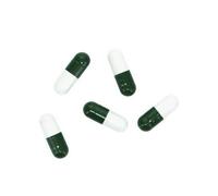 Special Bait Hobby Planaria X (x5)