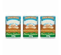 Special Edition Devon Gingerbread Custard, Natural Flavours, Vegetarian Friendly, Creamy Dessert Sauce, 400g,Pack Of 3
