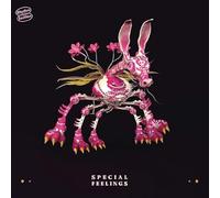 SPECIAL FEELINGS - SPECIAL FEELINGS [VINYL]