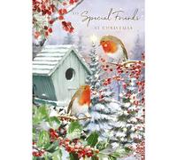 Special Friends Christmas Card - Robin Winter Garden - Artistic Festive Design - Special Finish - Made in the UK - Eco-Friendly