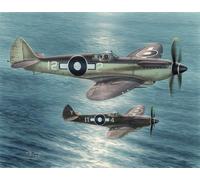 Special Hobby 1/48 Supermarine Seafire F Mk.XV # 48116