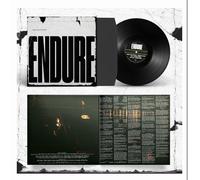 Special Interest - Endure [VINYL]