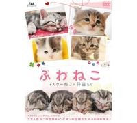 Special Interest - Fuwaneko Star Neko No Koneko Tachi [Japan DVD] MGD-22