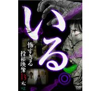 Special Interest - Iru. Kowasugiru Toko Eizo 13 Bon Vol.2 [Japan DVD] TOK-D0008