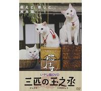 Special Interest - Iyashi Neko DVD Neko Zamurai Sanbiki No Tamanojo [Japan DVD] FMDS-5182L