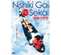 Special Interest - Nishikigoi No Sekai [Japan DVD] DMG-9408