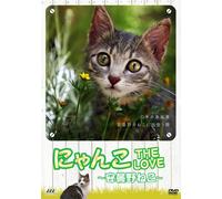 Special Interest - Nyanko The Love Azumino Neko [Japan DVD] MGD-21