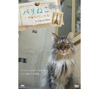 Special Interest - Parineko The Special [Japan DVD] MGD-20