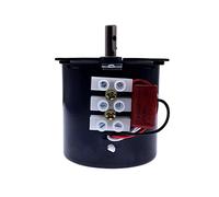 special motor 68 Mini Permanent Magnetic Synchronism electronic starter 220V AC 28W Micro Gear electronic starter 50Hz Synchronous Low Speed Reversible (Size : 80rpm)