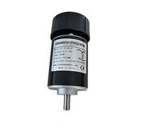 special motor DC electronic starter 200W Air Cooled Spindle electronic starter 0.2KW d c electronic starter CNC Engraving Machine DC12V-24V