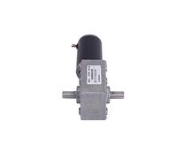 special motor Reduction electronic starter Dual-axis Worm Gear electronic starter, 12V24V DC Low-Speed electronic starter 4058GW, Double Shaft DC Gear Reducer electronic starter Extremely (Color : 12