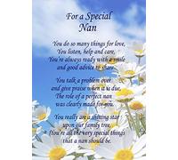 Special Nan Poem Verse Greeting Card