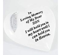 Special Son Graveside Memorial Feather Heart Grave Plaque Ornament Decoration