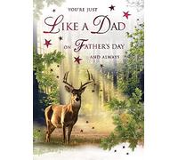 Special Thoughts Father's Day Card - Your Just Like A Dad,9 x 6 inches