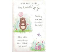 Special Wife Birthday Card 7 Page Insert & Verses Extra Large Card 12" X 7. 5"
