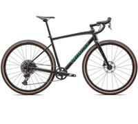 Specialized Diverge E5 Comp Gloss Metallic Obsidian/Metallic Pine Green