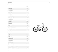Specialized Riprock Coaster 20´´ 2024 Bike One Size Gloss Dune White / White Sage