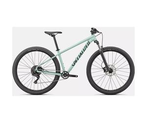 Specialized Rockhopper Comp 29 Hardtail Moutnain Bike 2024 Gloss CA White Sage/Satin Forest Green